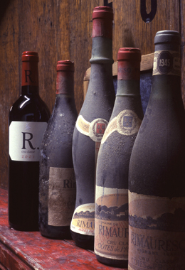 Old bottles portrait